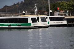 IMG_2339-1024x682