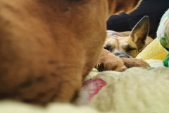 1_2020-10-24-11.16.26