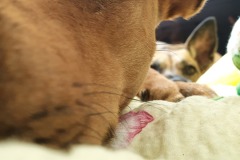 1_2020-10-24-11.16.29