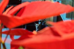 20211218_182718-scaled