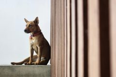 20230701_134636-scaled