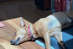 IMG-20241118-WA0018
