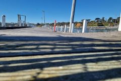 20230924_103855-scaled
