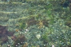 20230924_104112-scaled