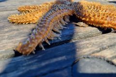 20230924_105030-scaled