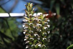 IMG_5165-scaled