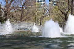 IMG_5179-scaled