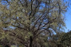 IMG_5184-scaled