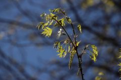 IMG_5192-scaled