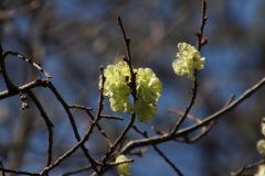 IMG_5197-scaled