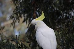 IMG_5294-scaled