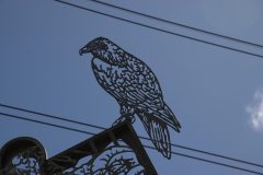 IMG_5315-scaled