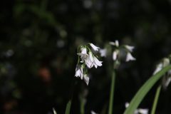 IMG_5320-scaled