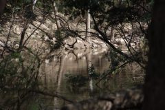 IMG_5336-scaled
