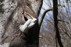 IMG_5346-scaled