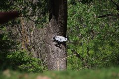 IMG_5350-scaled