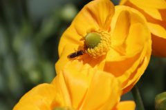 IMG_5417-scaled