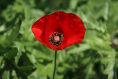 IMG_5441-scaled