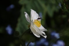IMG_5448-scaled