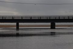 IMG_5489-scaled