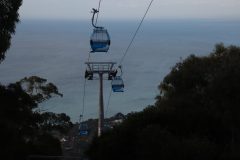 IMG_5555-scaled