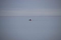 IMG_5688-scaled