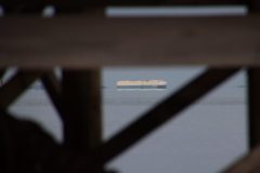 IMG_5784-scaled