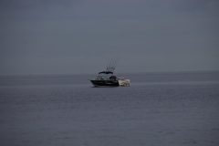 IMG_6048-scaled