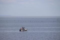 IMG_6107-scaled