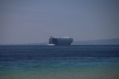 IMG_6232-scaled
