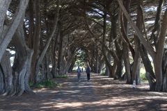 IMG_6253-scaled