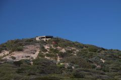 IMG_6354-scaled