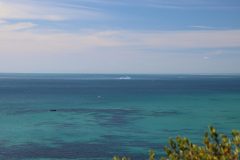 IMG_6395-scaled