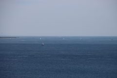 IMG_6407-scaled