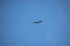 IMG_6433-scaled