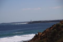 IMG_6439-scaled