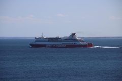 IMG_6516-scaled