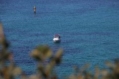 IMG_6519-scaled