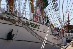 IMG_1591-1024x682