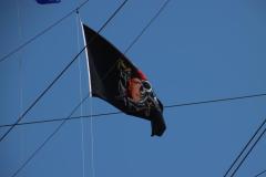 IMG_1616-1024x682