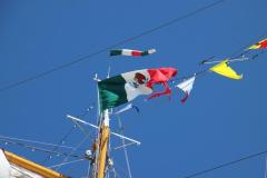 IMG_1661-1024x682