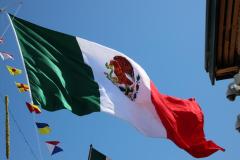 IMG_1663-1024x682