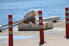 IMG_1673-1024x682
