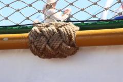 IMG_1699-1024x682