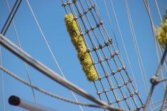 IMG_1701-1024x682