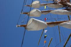 IMG_1719-1024x1536