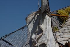 IMG_1791-1024x682