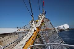 IMG_1794-1024x682