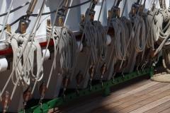 IMG_1840-1024x682