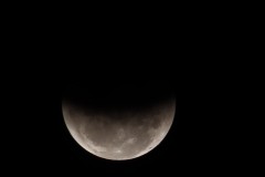IMG_6390